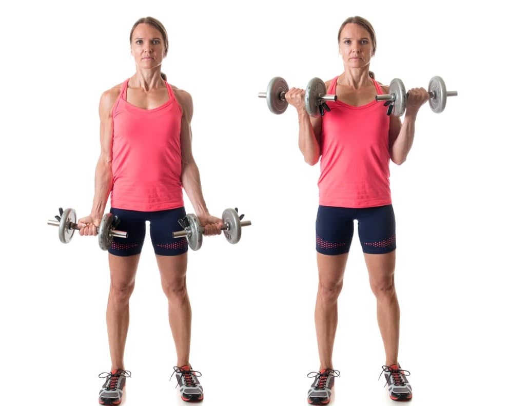 ท่า Bicep Curl
